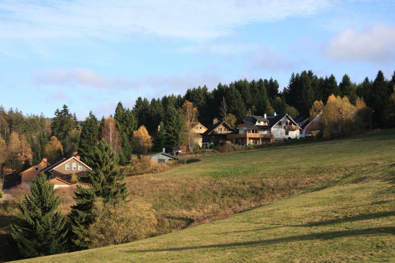 Kurpark Domizil Villa Altenau  Exterior foto
