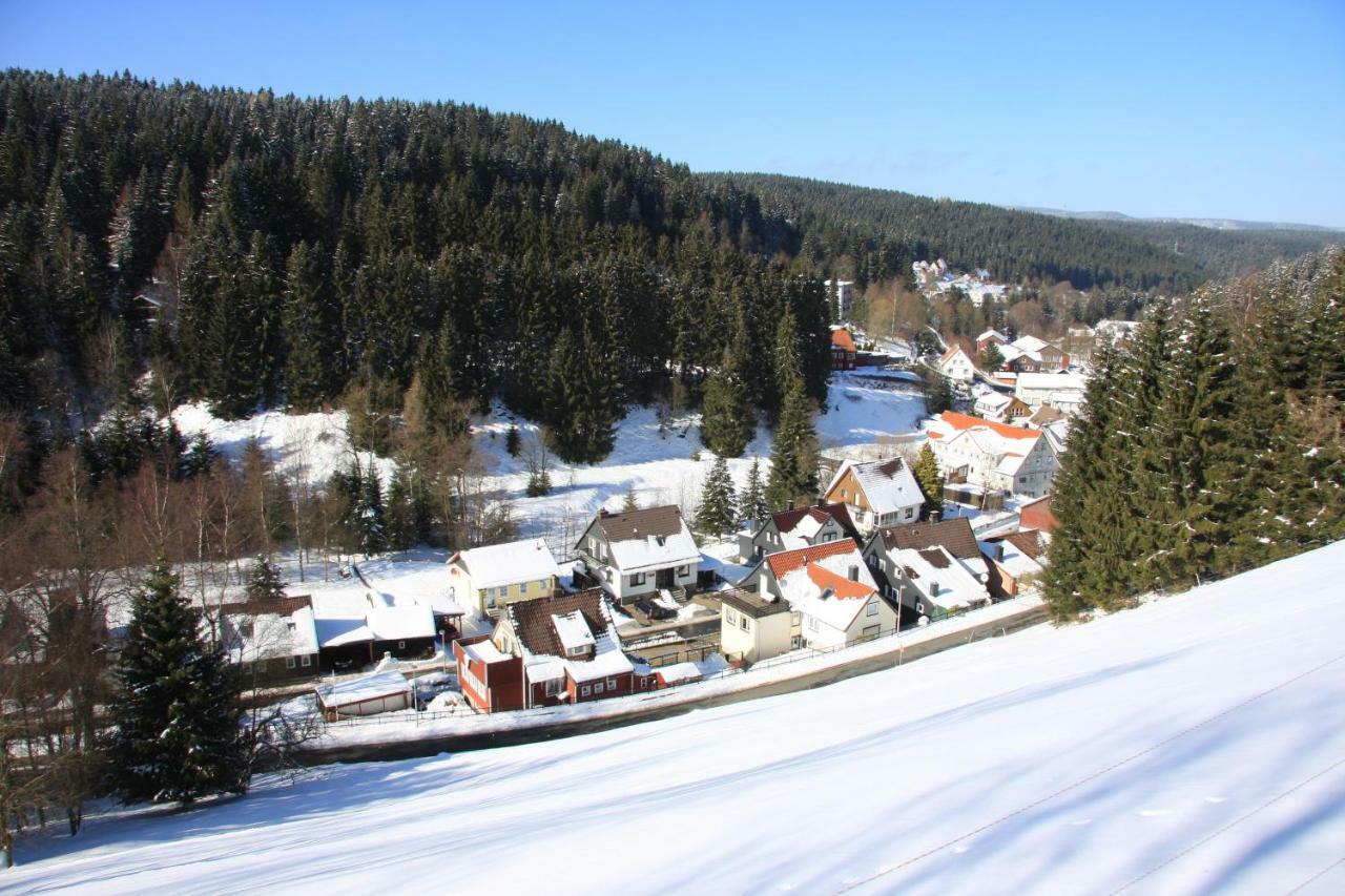 Kurpark Domizil Villa Altenau  Exterior foto