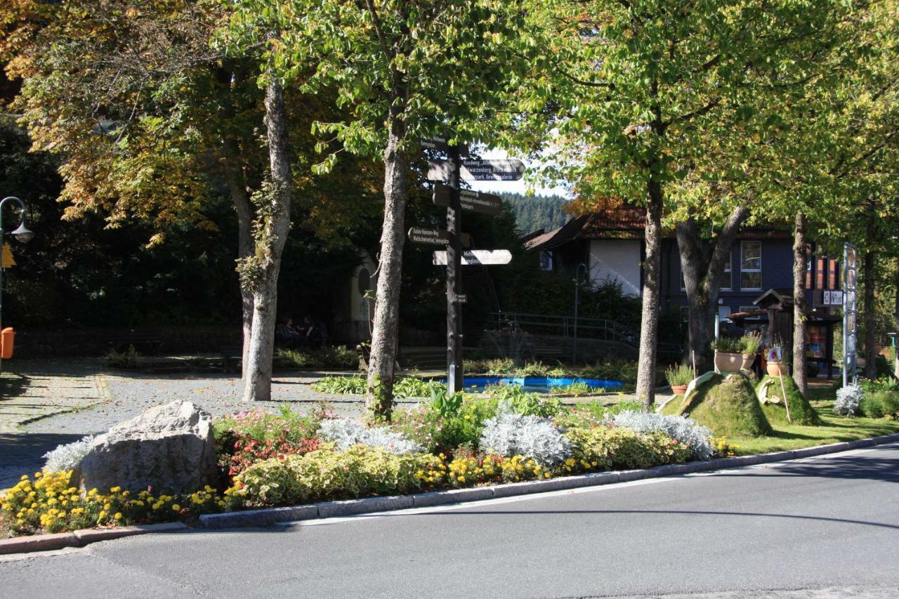 Kurpark Domizil Villa Altenau  Exterior foto